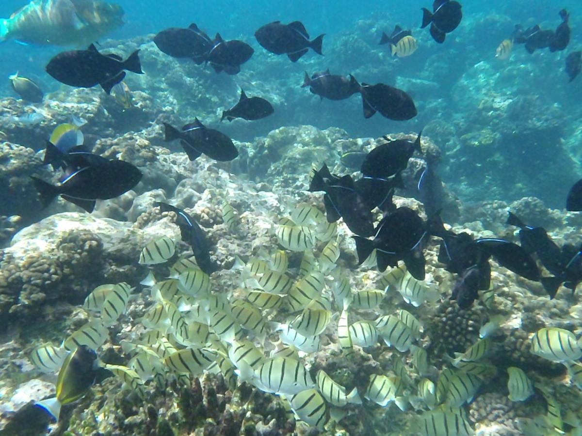 Island Time Guest Room Flying Fish Cove Εξωτερικό φωτογραφία